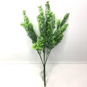 Green Grey Foliage Bush 33cm No2