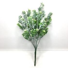 Green Grey Foliage Bush 33cm No5