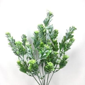 Green Grey Foliage Bush 33cm No5