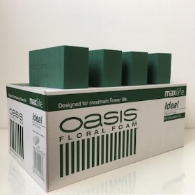 Oasis Wet floral Foam Bricks x 20 