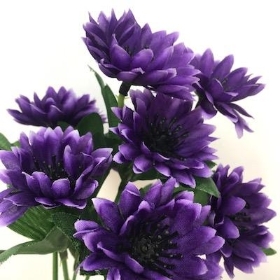 Purple Cornflower Bush 23cm