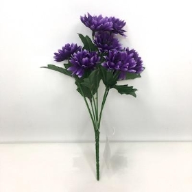 Purple Cornflower Bush 23cm