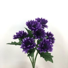 Purple Cornflower Bush 23cm