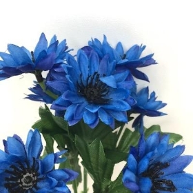 Blue Cornflower Bush 23cm