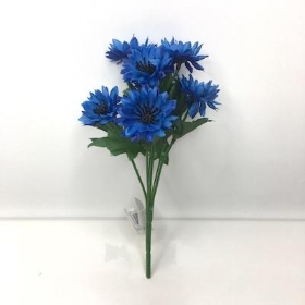 Blue Cornflower Bush 23cm