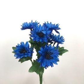 Blue Cornflower Bush 23cm