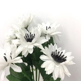 White Cornflower Bush 23cm