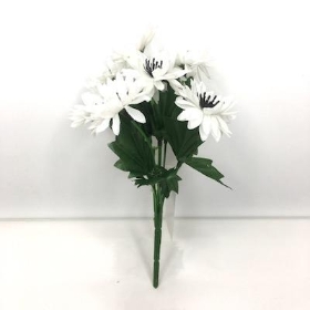 White Cornflower Bush 23cm