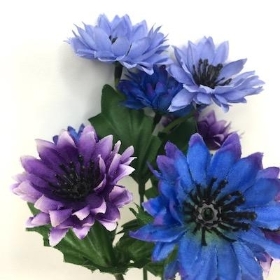 Lilac And Purple Cornflower Bush 23cm