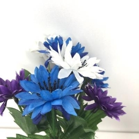 White And Purple Cornflower Bush 23cm