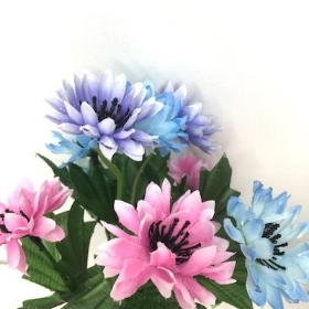 Pink And Lilac Cornflower Bush 23cm