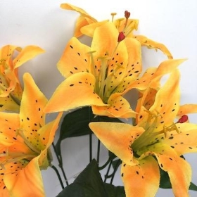 Yellow Lily Bush 35cm