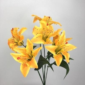 Yellow Lily Bush 35cm