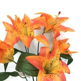 Orange Lily Bush 35cm