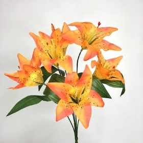 Orange Lily Bush 35cm
