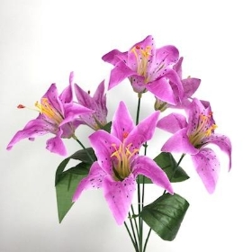 Lilac Lily Bush 35cm