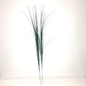 24 x Green Onion Grass 95cm