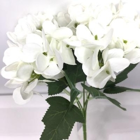 Ivory Hydrangea Bush 24cm