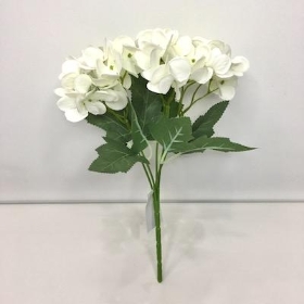 Ivory Hydrangea Bush 24cm