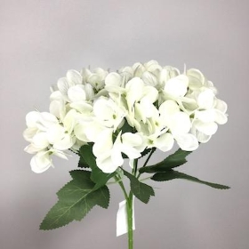 Ivory Hydrangea Bush 24cm