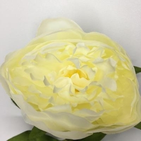 Ivory Peony 62cm