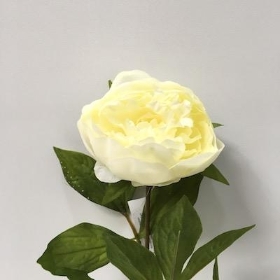 Ivory Peony 62cm