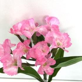 Pink Sweet William 32cm