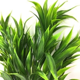 Green Grass Bush 33cm