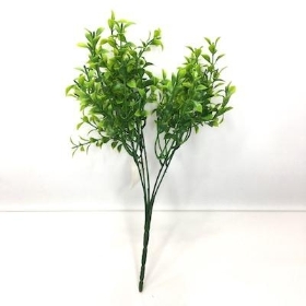 Green Tea Leaf Bush 32cm