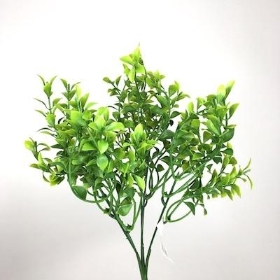 Green Tea Leaf Bush 32cm