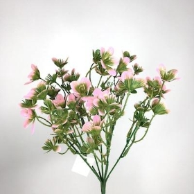 Pink Mini Azalea Bush 30cm