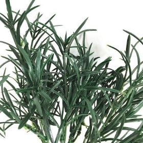 Dark Green Rosemary Bush 31cm