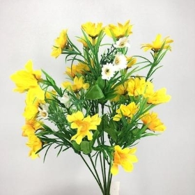 Yellow Daisy Bush 35cm