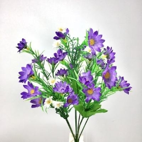 Purple Daisy Bush 35cm