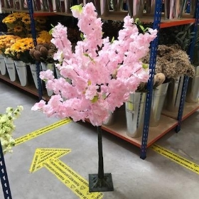 Pink Blossom Tree 120cm