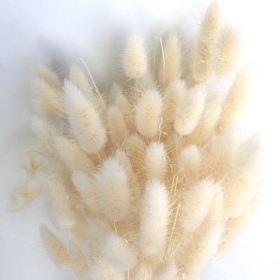 Dried Bleached Bunny Tails 100g