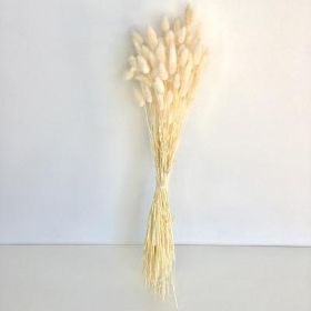 Dried Bleached Bunny Tails 100g