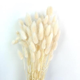 Dried Bleached Bunny Tails 100g