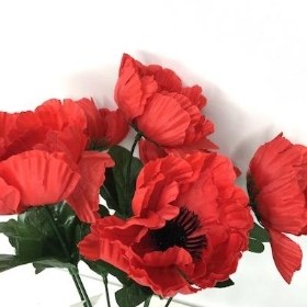 Red Poppy Bush 31cm