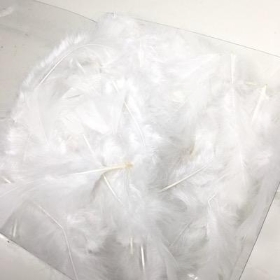 White Turkey Feathers 45g