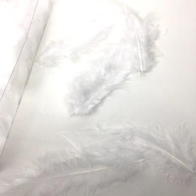 White Turkey Feathers 45g