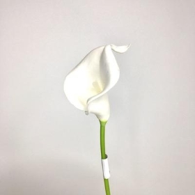 Ivory Foam Calla Lily 36cm