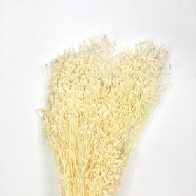 Dried Bleached Broom 45cm