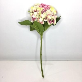 Pink Cream Hydrangea 52cm