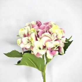 Pink Cream Hydrangea 52cm