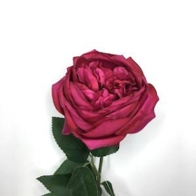 Cerise Garden Rose 53cm