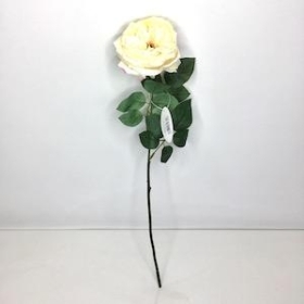 Cream Garden Rose 53cm