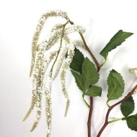 White Amaranthus 68cm