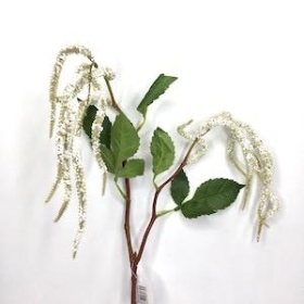 White Amaranthus 68cm