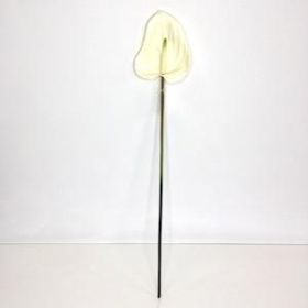 Ivory Anthurium 74cm